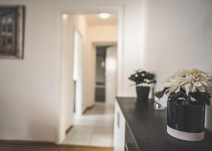 Fuer Bis Zu 7 Gaeste Ideal Fuer Monteure, Teams Und Familien アパート